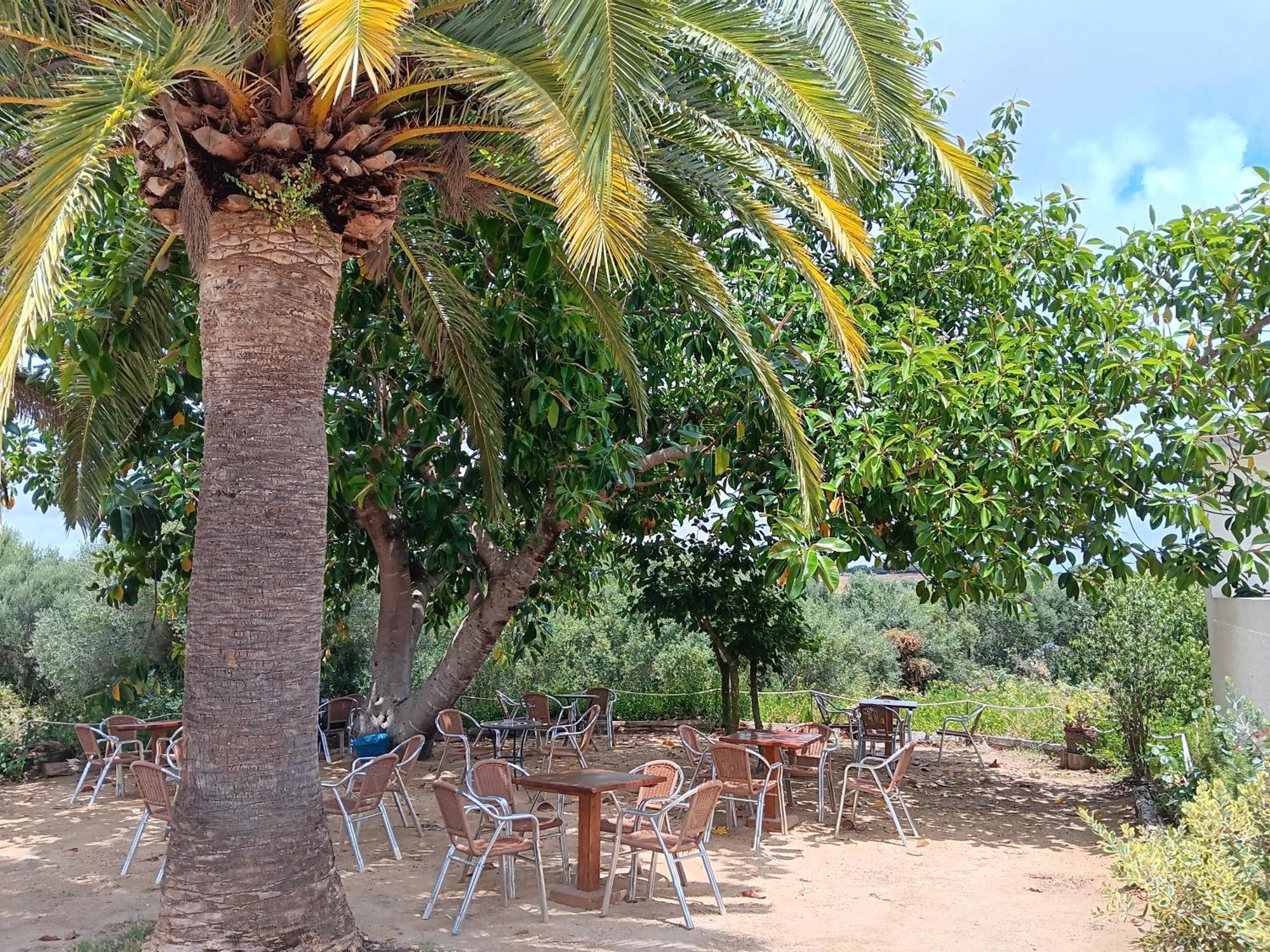 Hotel El Palomar De La Brena à Barbate Extérieur photo