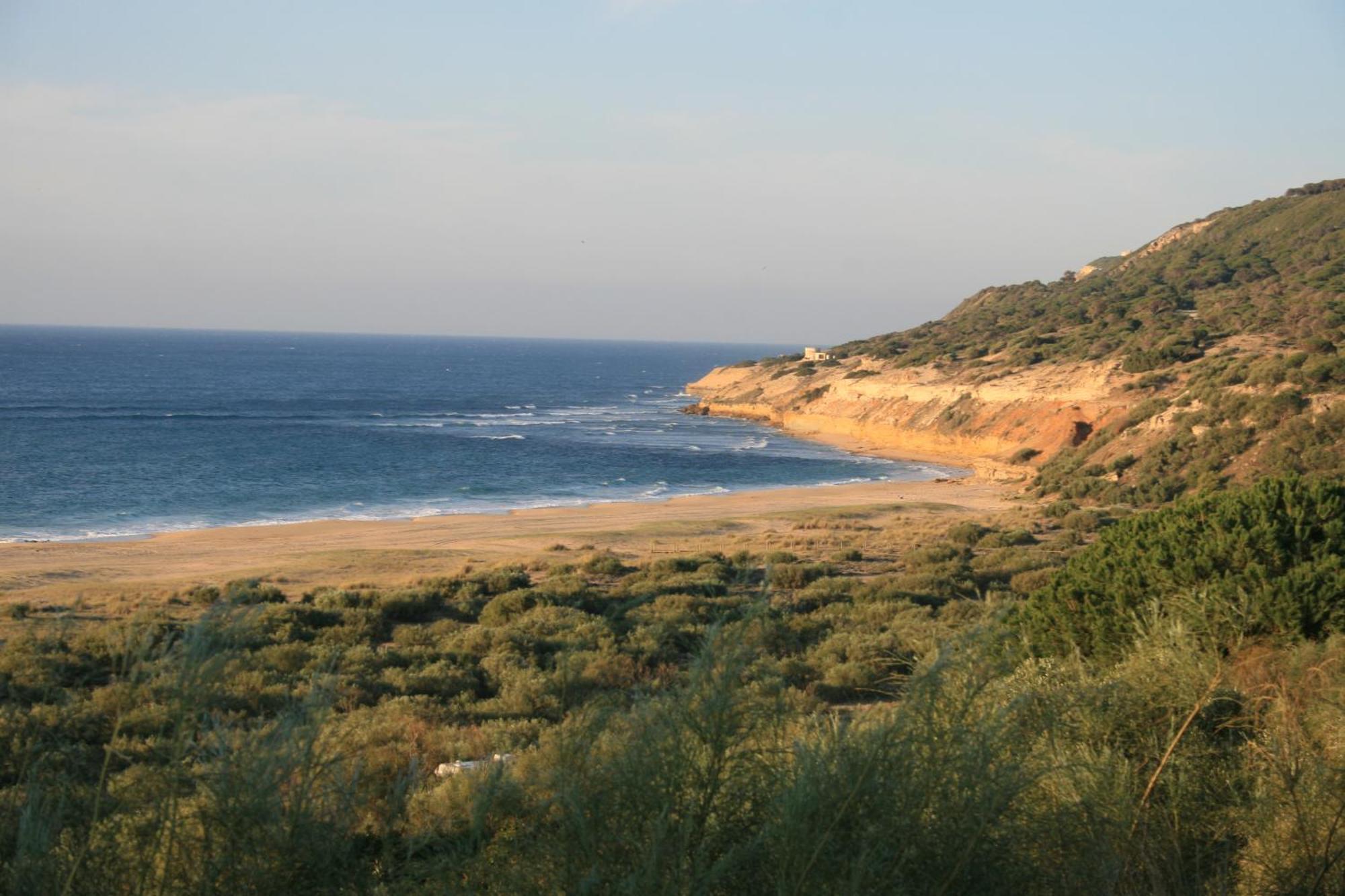 Hotel El Palomar De La Brena à Barbate Extérieur photo