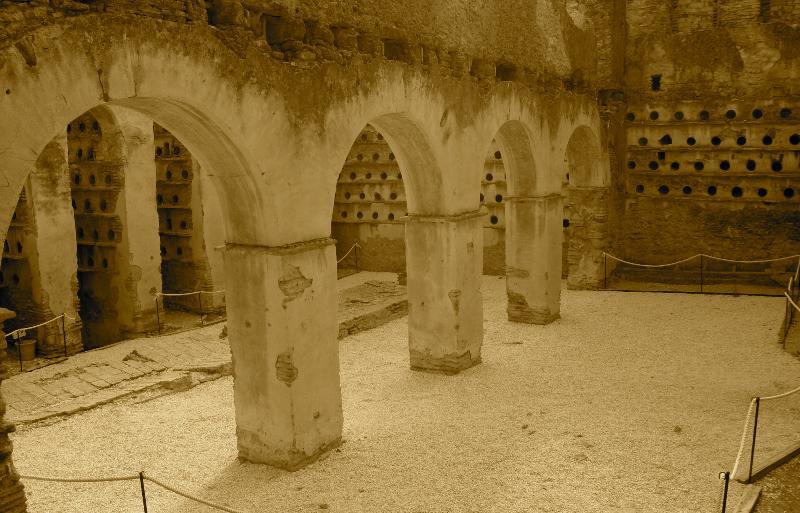 Hotel El Palomar De La Brena à Barbate Extérieur photo